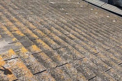 屋根の苔やカビ、色あせ