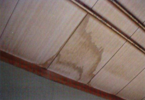 天井材のシミ
