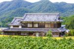 入母屋屋根とは？メリットやデメリット、メンテナンス費用などを解説