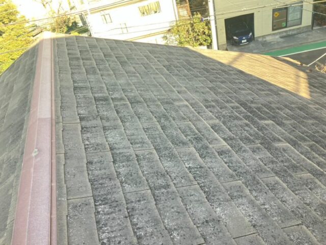 さいたま市岩槻区にて屋根修理〈スーパーガルテクトへのカバー工事〉 施工前