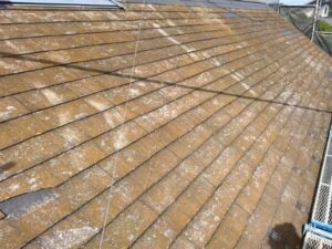 屋根の苔やカビは放置しても大丈夫？見た目以上に怖い劣化リスクとは